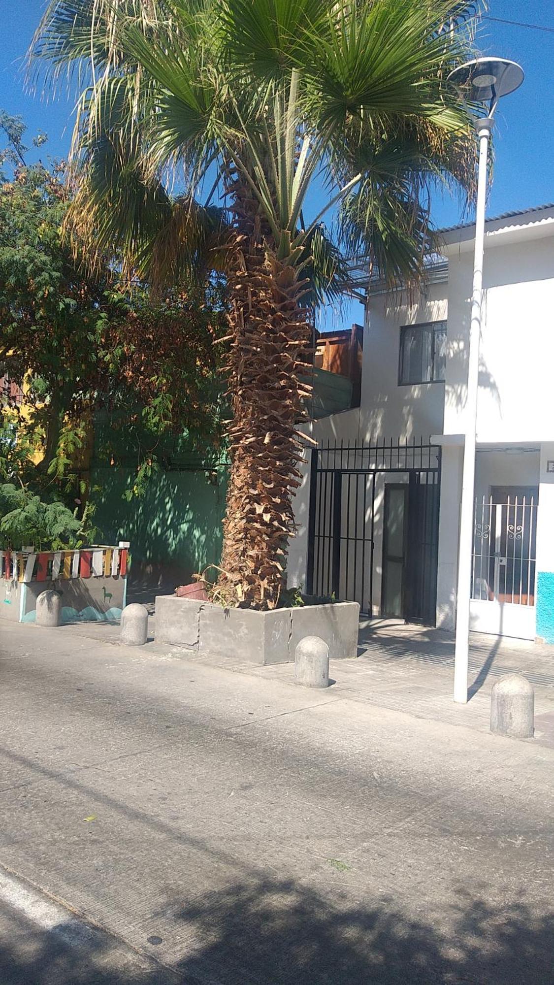 Hostal La Ruca Antofagasta Eksteriør billede
